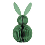 HONEYCOMB "HASE"