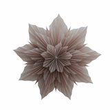 FALT-BLUMENSTERN