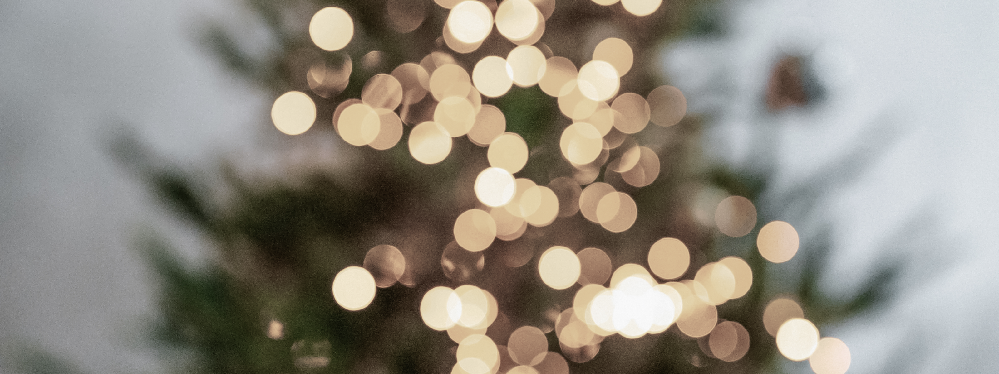 ⭐ EXKLUSIVER
ADVENTSKALENDER ⭐