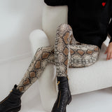 LEGGINGS PYTHON